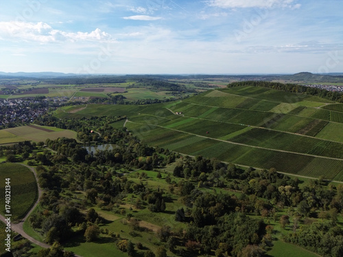 Weinberge in Kleinbottwar zeigen die Schönheit der Landschaft und das Wachstum der Reben