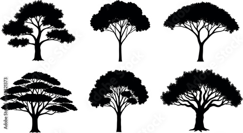 Set of Black Tree Silhouettes with Diverse Canopy Shapes and Trunk Styles for Nature, Landscape, Botany, and Design Concepts