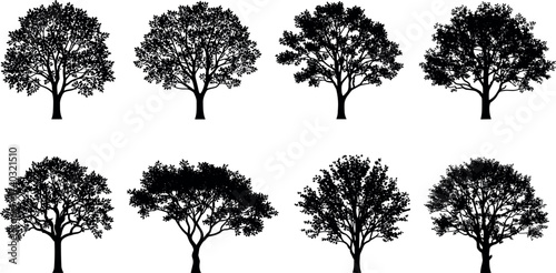Set of black tree silhouettes with diverse shapes and canopy styles for nature, landscape, botany, and architectural design projects.