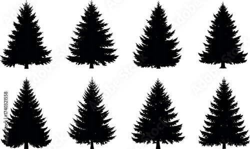 Set of Eight Conifer Tree Silhouettes Isolated on White Background for Nature, Forest, Landscape, Botanical, and Design Concepts