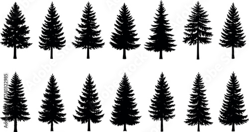 Set of pine tree silhouettes in various shapes and styles, perfect for nature, forest, woodland, and outdoor design themes.