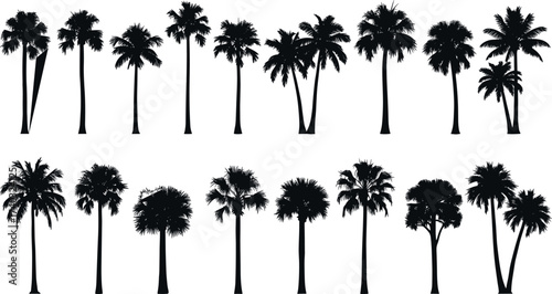 Silhouette Collection of Diverse Palm Trees in Tropical Landscape, Botanical Garden Elements for Nature, Travel, and Exotic Jungle Design Themes