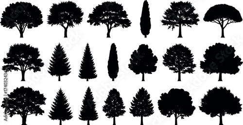Silhouette collection of diverse tree shapes in black isolated style for landscape design, botany reference, nature study, and environment visuals