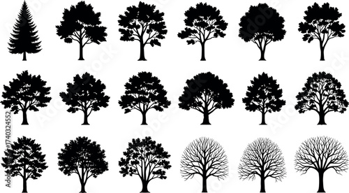 Silhouette collection of twenty diverse tree shapes including coniferous and deciduous species for botanical, design, and educational vector use.
