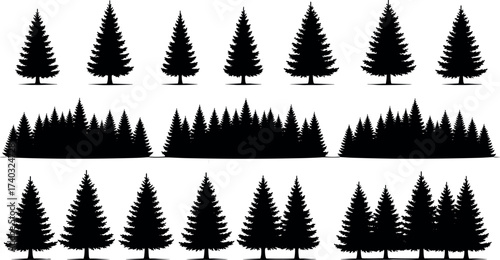 Silhouette evergreen pine trees set with forest line, coniferous fir shapes, nature landscape elements for outdoor design and decoration