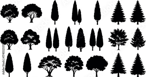 Silhouette Tree Collection Featuring Diverse Deciduous and Coniferous Species for Botanical Reference, Landscape Design, Nature Study, and Vector Art