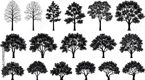 Silhouette tree collection with diverse foliage and bare branches, seasonal nature elements for landscape design, botanical study, and environment themes.