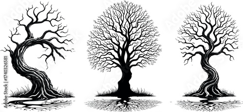 Stylized leafless trees with twisted trunks and intricate branches, black and white nature silhouette for seasonal, artistic, and design use