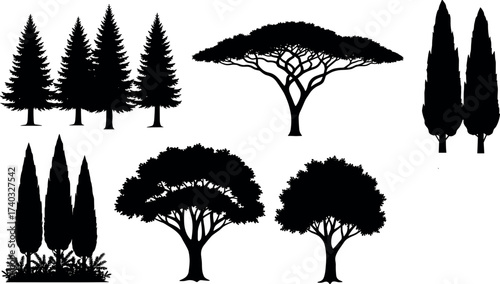 Tree silhouette collection featuring coniferous, umbrella-shaped, and columnar trees for landscape design, botanical reference, and nature-themed vector artwork