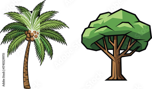 Coconut palm tree with coconuts, tropical island tree, lush deciduous tree illustration, seasonal contrast, nature diversity artwork, educational environmental design