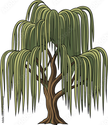 Weeping willow tree illustration, drooping green leaves, stylized willow artwork, tranquil nature design, environmental concept, landscape element, peaceful tree drawing, eco graphic