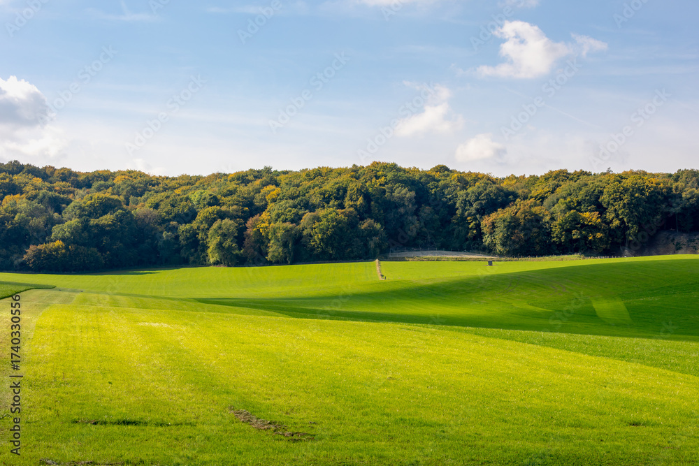 Fototapeta premium Autumn landscape, Terrain hilly countryside in Zuid-Limburg with green grass field, farmland and forest under blue sky, Epen is a village in southern part of the Dutch province of Limburg, Netherlands