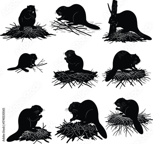 Beaver silhouettes, nest building, wildlife behavior, dam construction, aquatic mammals, nature animals, engineering skills, illustration setBeaver silhouettes, 