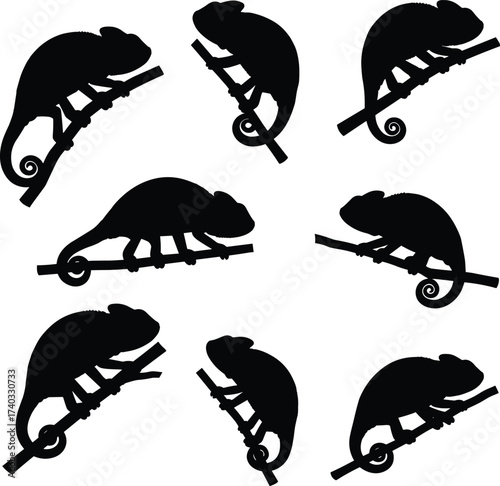 Chameleon silhouettes, reptiles on branches, curled tails, exotic lizards, wildlife posture, climbing animals, nature species, illustration set