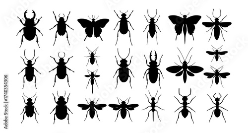Insect silhouettes vector set. Beetles, Butterflies, Bugs, Mosquito, Bee, Ant and More