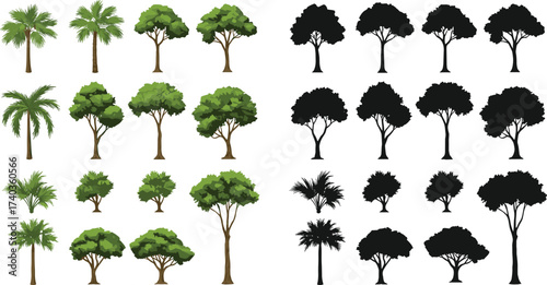Tree illustration set, colored and silhouette versions, palm trees, deciduous trees, foliage shapes, botanical vector, landscape design, graphic elements