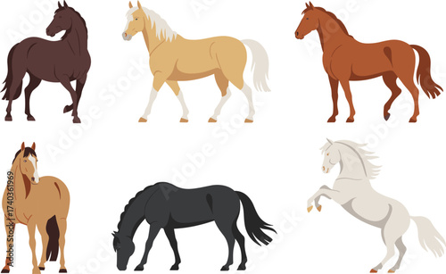 Vector horses illustration collection, various horse breeds in standing and action poses, colorful equestrian artwork, domestic farm animals, wildlife clipart, stock design elements