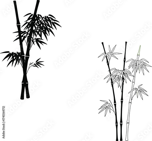 Bamboo vector illustration with black silhouette and outlined design, natural Asian botanical art, tropical plant decorative element, elegant foliage for backgrounds and patterns