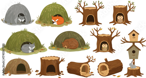 Animal shelter illustration, forest habitats, grassy mounds, tree trunks, birdhouse, sleeping animals, wildlife vector, nature scene, hand-drawn sketch, ecosystem design