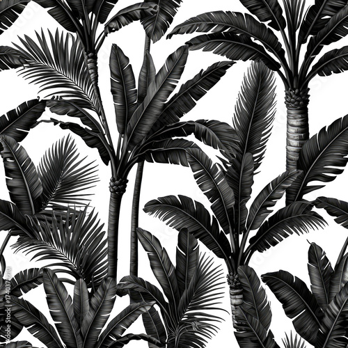 Black & white tropical palm tree illustration; lush leaves & dense jungle motif
