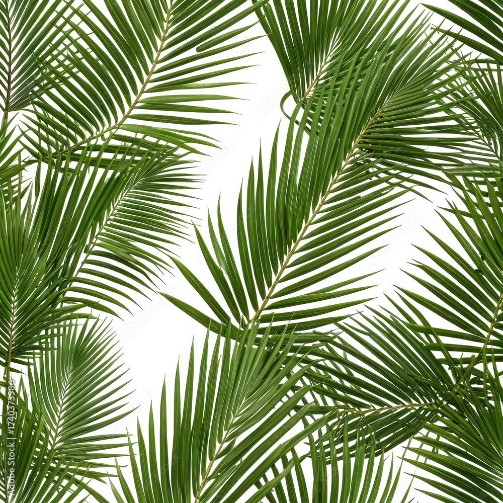 Fototapeta premium Lush green palm leaves overlapping, tropical vibes, a dense pattern