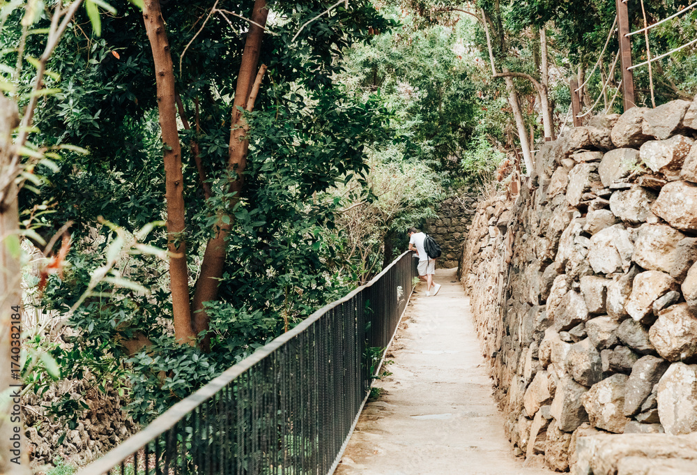 Fototapeta premium A man stands on a path with railings surrounded by vegetation.