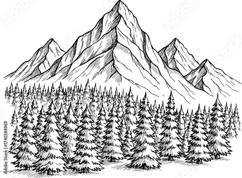 Majestic Mountain Range Overlooking a Dense Evergreen Forest.