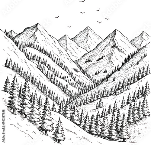 Monochrome Mountain Range Landscape with Evergreen Trees and Birds.