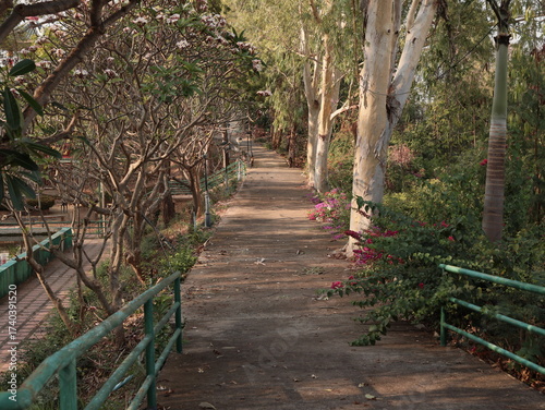Obraz na plátně A Serene Park Pathway, Completely Surrounded by Lush and Vibrant Greenery Awaits