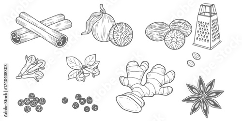 Hand-Drawn Spice Collection Vector Set: Cinnamon, Nutmeg, Clove, Ginger, Peppercorn, Star Anise, and Turmeric. Botanical Sketch for Cooking & Food Design.

