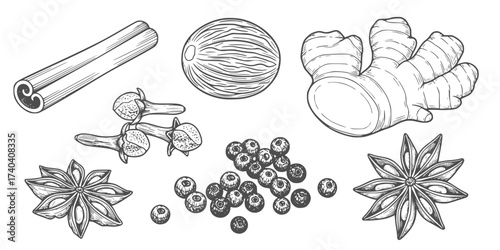 Hand-Drawn Spice Collection Vector Set: Cinnamon, Nutmeg, Clove, Ginger, Peppercorn, Star Anise, and Turmeric. Botanical Sketch for Cooking & Food Design.

