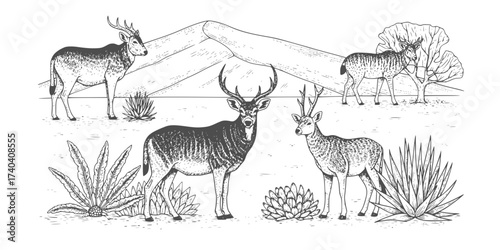 Desert Wildlife and Flora Vector Collection: Vintage Engraving Style Cactus, Succulents, Snake, Scorpion, Lizard, and Arid Ecosystem. Botanical & Zoological Art.


