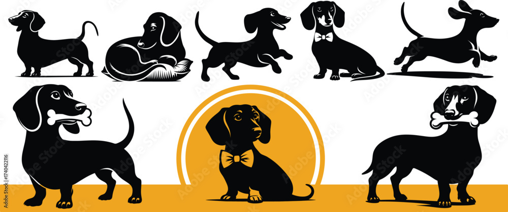 Obraz premium Collection of dachshund dog silhouettes in playful and cute poses, including a bow tie puppy design. Perfect for pet projects, crafts, stickers, vinyl cutting, and t shirt designs.