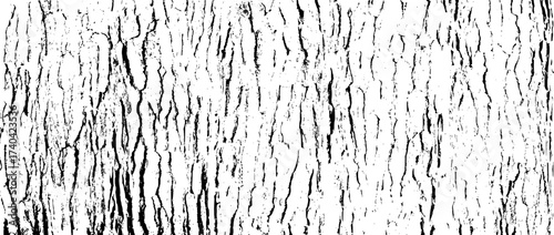 Tree bark texture