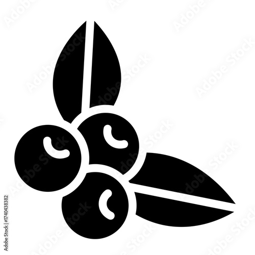 berry icon