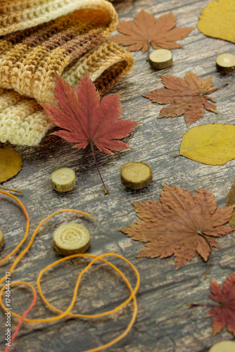 Autumn mood. A knitted scarf, maple leaves, and a wooden background create an autumnal atmosphere.