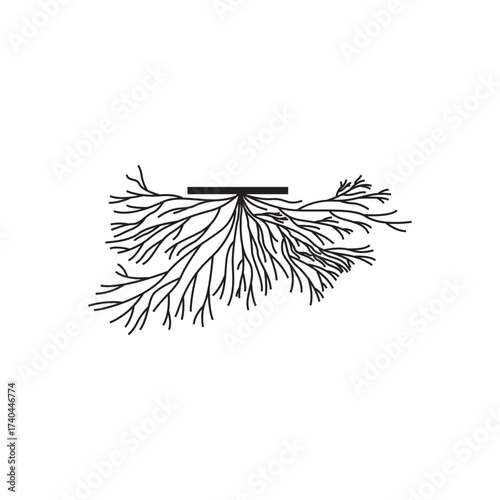 root icon vecktor