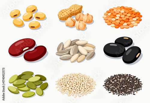 A collection of various types of seeds and nuts. Concept of abundance and variety, as there are many different types of seeds and nuts displayed. The colors of the seeds and nuts are vibrant