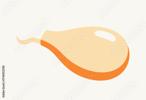 A cartoonish orange object with a white background. The object is a vegetable, but it is not clear what kind