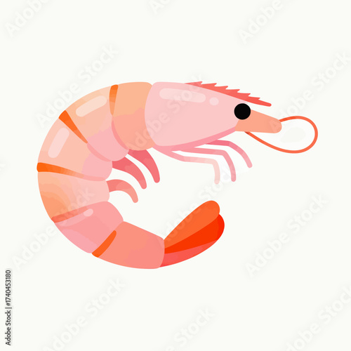 A cartoonish drawing of a pink shrimp with a red tail. The shrimp is sitting on a white background