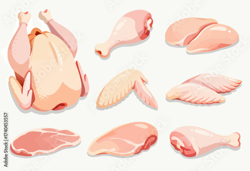A collection of different types of meat, including chicken, turkey, and chicken wings. The image is a colorful and appetizing display of various cuts of meat