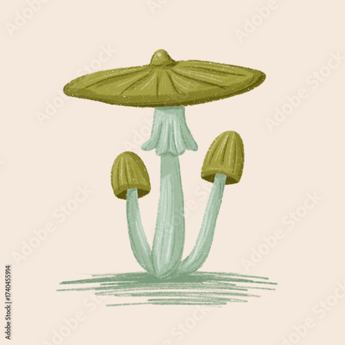 Sage Mushroom Hand drawing Texture Illustration Art