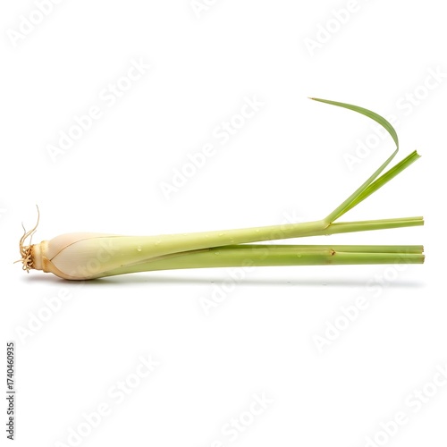 Fresh Lemongrass Stalk on White Background - A Culinary Herb.