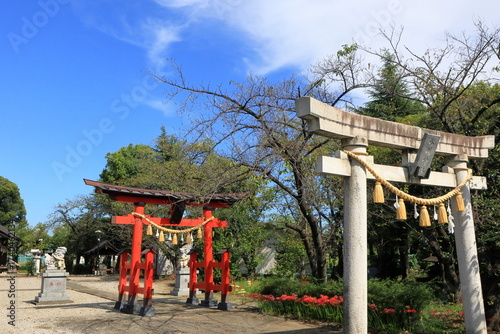 日本　埼玉の風景