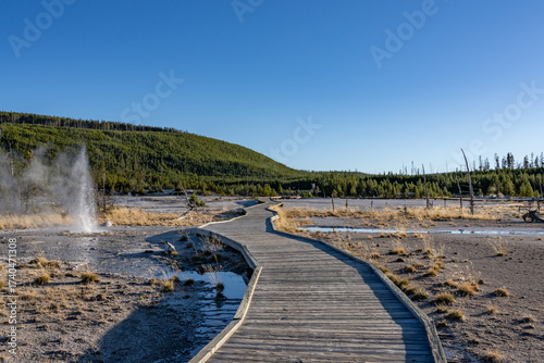 Принти на полотні Norris Geyser Basin Trail