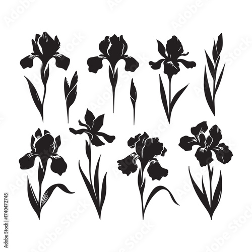 Assortment of black iris flower silhouettes with stems and leaves on a white background Keywords: iris, flower, silhouette, black, white, background, isolated, floral, botanical, nature, plant