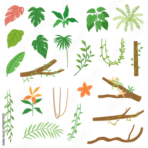Tropical Jungle Elements Illustration for Design