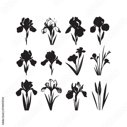 Twelve Black Iris Flower Silhouettes with Leaves and Buds on White Background Keywords: iris, flower, silhouette, black, white background, floral, botanical, nature, plant, bloom, petal, stem