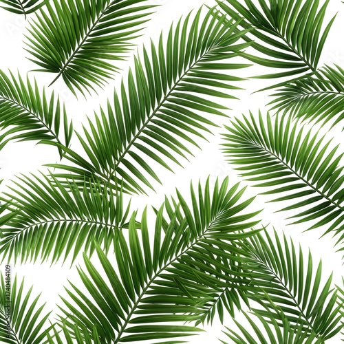 Lush, vibrant green palm fronds on a seamless black background