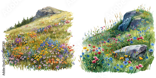 wildflowers covered hillside watercolor vector illustration